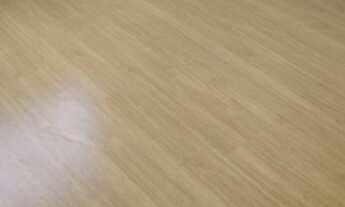 Imagem 7: Oportunidade no Res. Mata dos Sabias