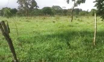 Imagem 4: Área para Venda em Senador Canedo, Chácara Santa Luzia