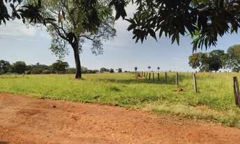 Imagem 6: Vendo fazenda 41,5alqueires 100%plana toda formada casa curral