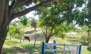 Imagem 4: BELO SÍTIO EM ALEXÂNIA - GO