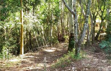 Imagem 5: Sítio para venda tem 52000 metros quadrados em Centro - Botucatu - SP