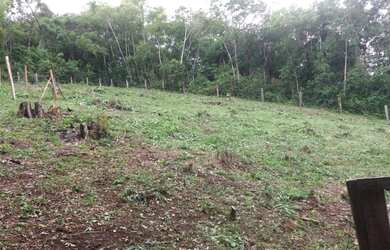 Imagem 3: Chácara em Rio Branco do Sul