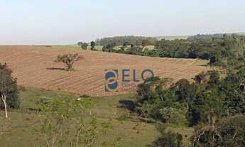 Imagem 7: LINDA ÁREA RURAL EM RIO CLARO NO BAIRRO CAMPO DO COXO!