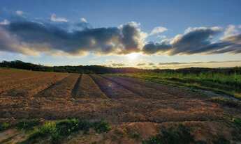 Imagem 7: Terreno de até 1000m² em COTIA/SP - Pagamento Facilitado!