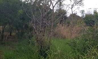 Imagem 2: Chácara com 30,000m2 Doutor Camargo Pr