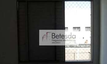 Imagem 5: Apartamento 3 Dormitórios à Venda, 60 m² - Vila Butantã /SP