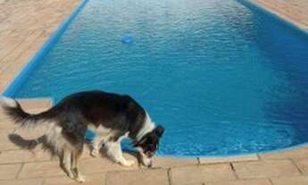 Imagem 6: Chácara com 3 dormitórios à venda, 2295 m² por R$ 600.000,00 - Estância Santa Maria do Lar