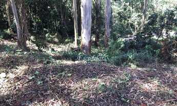 Imagem 2: Terreno à venda, 585 m² por R$ 398.000,00 - Jardim Peri - São Paulo/SP