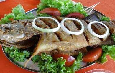 Imagem 5: Terreno sítio em Silva Jardim com 3300m2 perto de juturnaiba