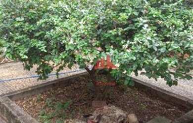 Imagem 6: Casa com 4 dormitórios à venda, 200 m² por R$ 980.000 - Centro - Americana/SP