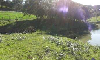 Imagem 3: TERRAS EM LORETO