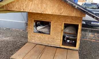 Imagem 2: Casinha Casa com venda por R$1.250