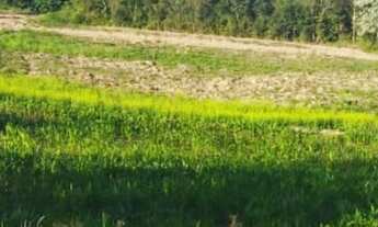 Imagem: Terreno com um òtimo preço e localização