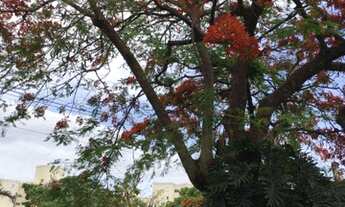 Imagem 6: Apartamento à venda, 55 m² por R$ 179.900,00 - Dois Córregos - Piracicaba/SP