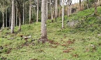 Imagem 6: Urubici - Terreno