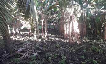 Imagem 5: Venda Casa com 2 dormitórios