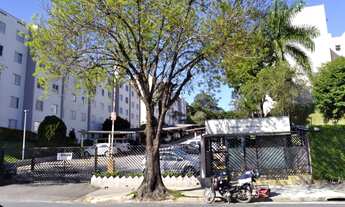 Imagem: Apartamento Terra da Uva- Reformado- 2 quartos