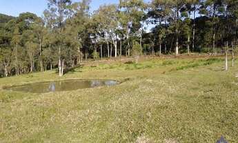 Imagem 7: TERRAS EM LORETO