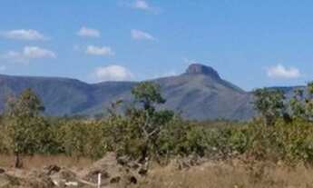 Imagem 3: 2 hectsres vendo ou troco