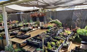 Imagem 6: LINDA CHÁCARA EM IPELÂNDIA