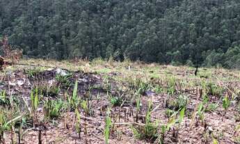 Imagem 6: Lote/Terreno para venda tem 1000 metros quadrados com 1 quarto em Rio Acima - Mairiporã