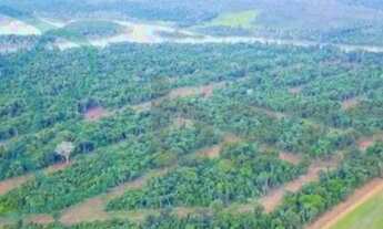 Imagem 2: Chácara com 1 dormitório à venda, 1185 m² por R$ 130.000,00 - Zona Rural - Sinop/MT