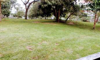 Imagem 5: Chácara com 3 dormitórios à venda, 484000 m² por R$ 800.000,00 - São Félix - Marabá/PA