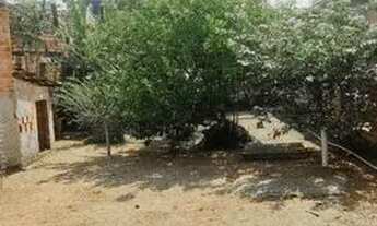 Imagem 5: Vendo ou Alugo Casa Vila dos Cabanos