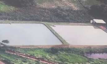 Imagem: 01 alqueire excelente para montar um pesqueiro