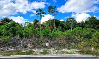 Imagem: Lote no Mosaico Ponta Negra 268m² Pronto