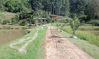 Imagem 6: Chácara com 7 Hectares 3 açúdes, Rio,casa alvenaria grande