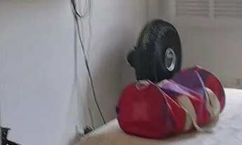 Imagem 5: Alugo Apartamento