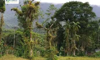 Imagem 5: Terreno à venda em Morretes/PR