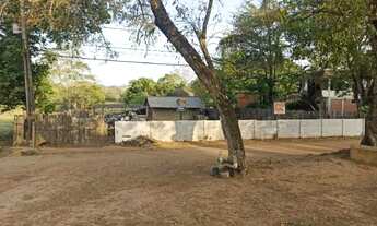 Imagem 7: Vendo Chácara em Patrocinio de Muriaé/MG - 15.440m²(1,54hectare