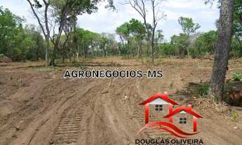 Imagem 4: Fazenda De 10.700 Hectares No Pantanal Da Nhecolandia