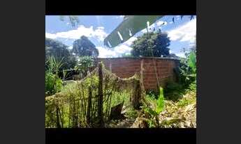 Imagem 5: Excelente lote no bandeirante