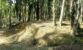 Imagem 7: Terreno à venda no bairro Barigui - Antonina/PR