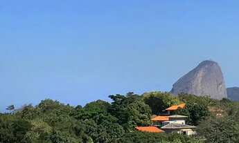 Imagem 7: Lindo apartamento em Icaraí sendo 2 quartos 75m2