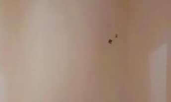 Imagem 7: Telefones para contato: * (Oi-WhatsApp), * (Tim) ou * (WhatsApp