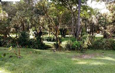 Imagem 6: Chácara-à-Venda