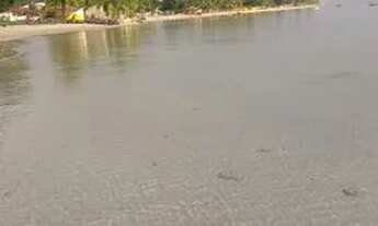 Imagem 6: ALUGO CASA 600 R$ 3 MINUTOS TÁ NA PRAIA