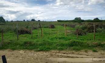 Imagem: Vendo 8 hectares de terra, Tangará RN