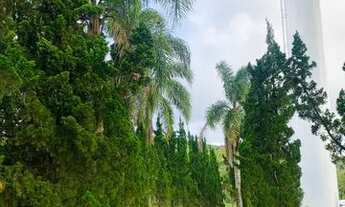 Imagem 7: Terreno em - Ibiúna - SP