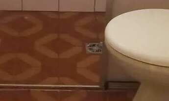 Imagem 3: ALUGO CASA (FUNDOS