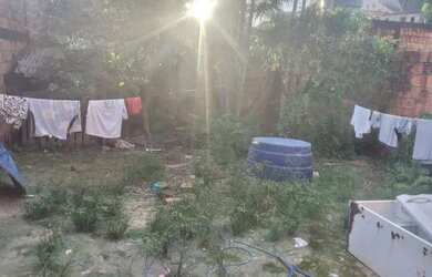 Imagem 5: Casa da Cidade de Deus. Próximo o nova era