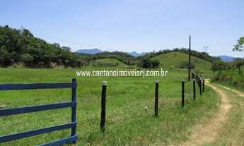 Imagem 3: Sítio estilo fazendinha com 80.000m² (8 hectares) planos (ideal para criação