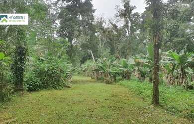 Imagem 2: Chácara à venda no bairro Vila das Palmeiras - Morretes/PR