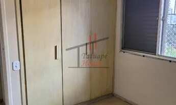 Imagem 7: SãO PAULO - Padrão - Tatuapé