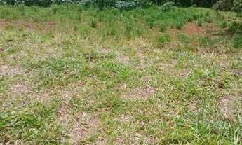 Imagem 4: Sitio em cajuru 5 alqueires 900.000.00 ( j