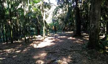 Imagem 6: Chácara-à-Venda-em-São-João-da-Graciosa-Morretes-PR